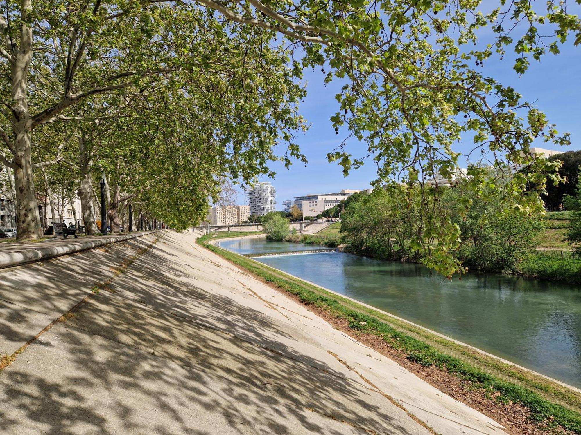 Avec Vue Sur Le Lez